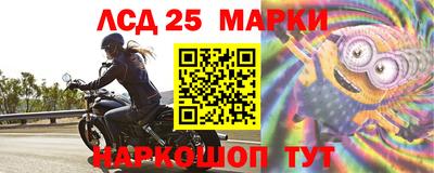 гашик Жуковский