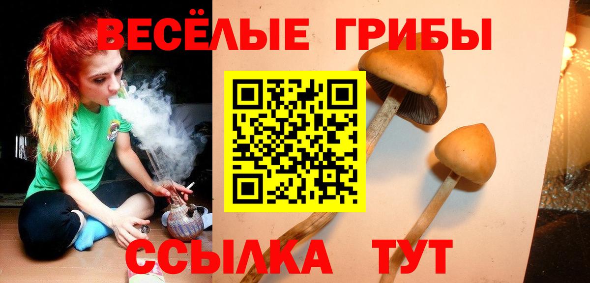 Магадан  Псилоцибиновые грибы Psilocybine cubensis  Вход с VPN 